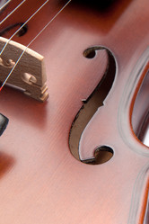 Similar image 7469449