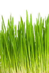 Similar image 7469451