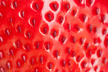 Similar image 7469452