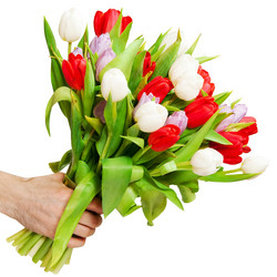 Similar image 7469453