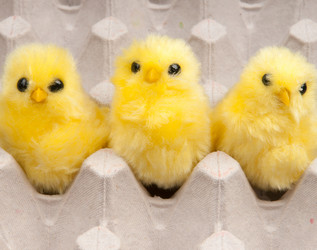 Similar image 7469465