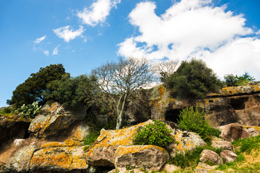 Similar image 7470571