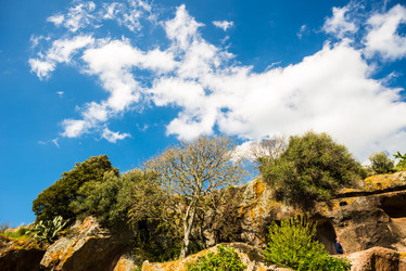 Similar image 7470584