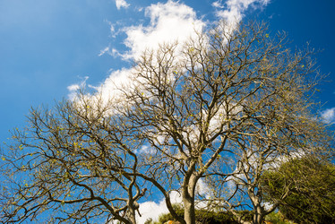 Similar image 7470597