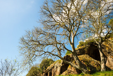 Similar image 7470601