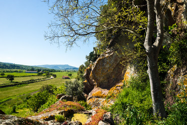 Similar image 7470604