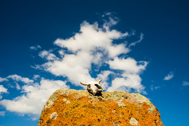 Similar image 7470613