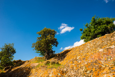 Similar image 7470618