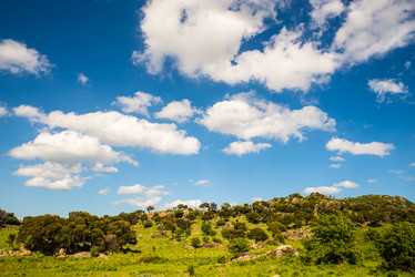 Similar image 7470619