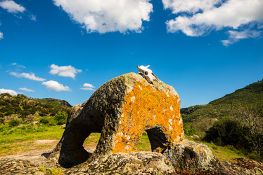 Similar image 7470621