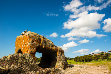 Similar image 7470622