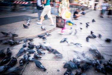 Similar image 7470686