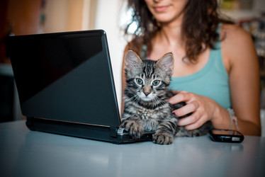 Similar image 7470711