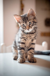 Similar image 7470931