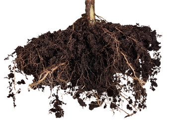 Similar image 7471063