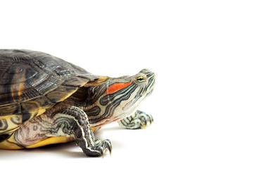 Similar image 7471173