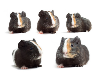 Similar image 7471174