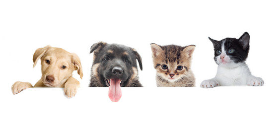 Similar image 7471179