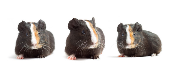 Similar image 7471181