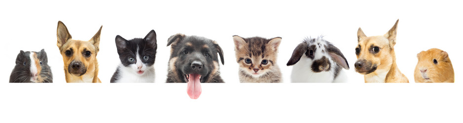 Similar image 7471182