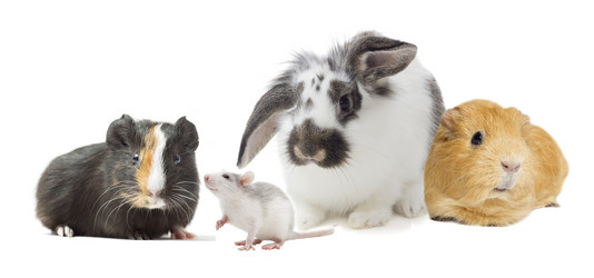 Similar image 7471183