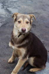 Similar image 7471184