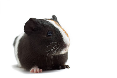 Similar image 7471186