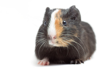 Similar image 7471188