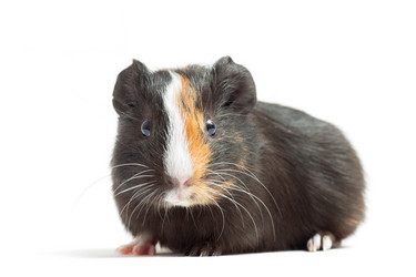 Similar image 7471189