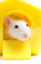 Similar image 7471190