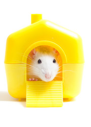 Similar image 7471191