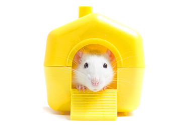 Similar image 7471192