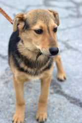 Similar image 7471193