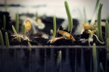 Similar image 7471195