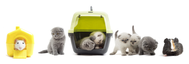 Similar image 7471204