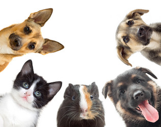 Similar image 7471205