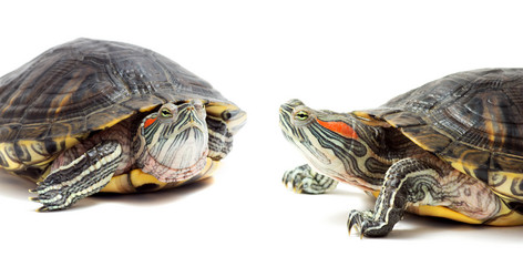 Similar image 7471206