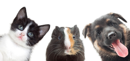 Similar image 7471209