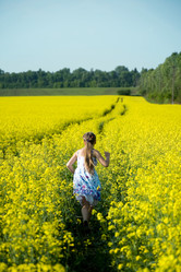 Similar image 7471337