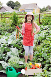 Similar image 7471363