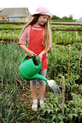 Similar image 7471387