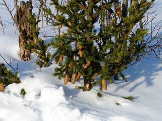 Similar image 7471637