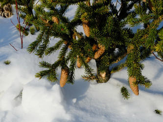 Similar image 7471638