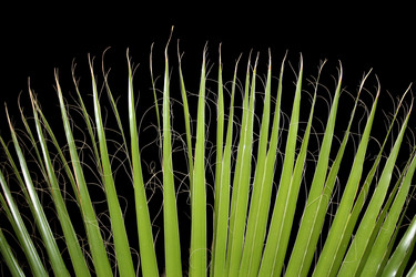 Similar image 7471727