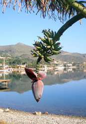 Similar image 7471734