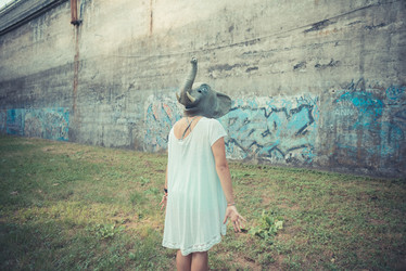 Similar image 7471740