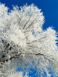 Similar image 7471760