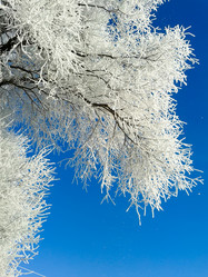 Similar image 7471761