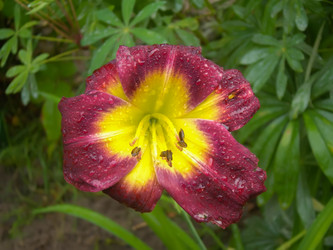 Similar image 7471766