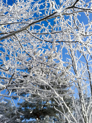 Similar image 7471790